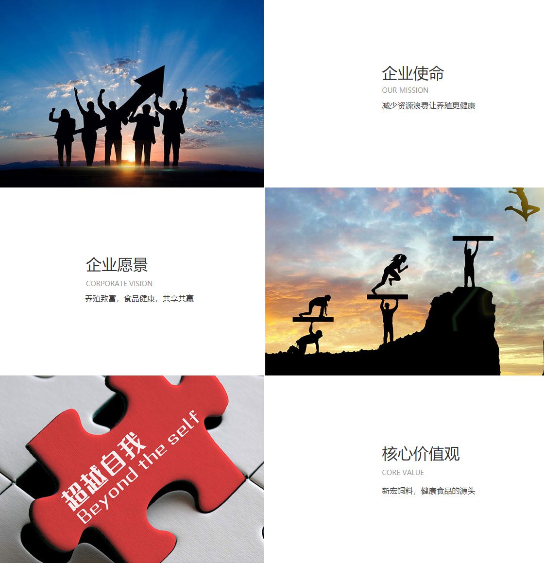 b体育bsport(图1)